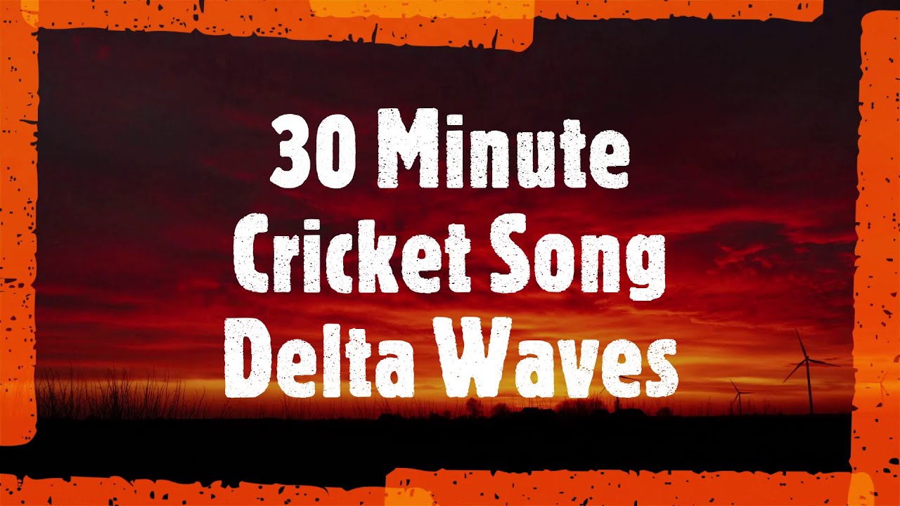 YouTubeで30 Minute Cricket Song Delta Wave Sounds - Power Nap - Black Screen in 5 Minutesを視聴 YouTubeで30 Minute Cricket Song Delta Wave Sounds - Power Nap - Black Screen in 5 Minutesを視聴