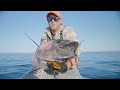 Bluefin tuna on spinning gear  hogy lures