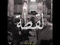 ويجز لقطه من حفله الجريك كامبس Wegz Laqtta