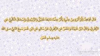 صحيح البخارى - كتاب الأيمان والنذور - 6647 - باب لا تحلفوا بآبائكم
