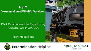 Top 3 Exterminators in Mentor