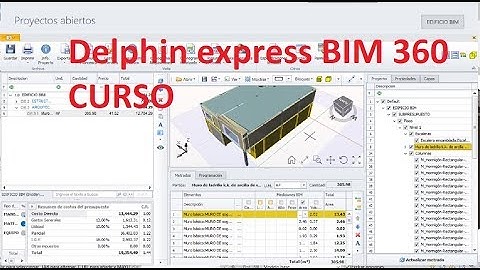 Delphin Express BIM 360 PARTE 1 introduccion y entorno