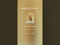 Looking Within — Nothing to Chase (Raga Mix)