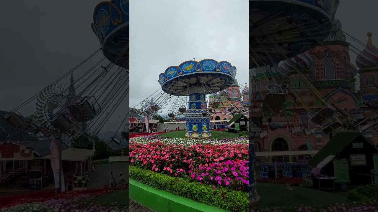 Ontang Anting, liburan menantang di Celosia Semarang #celosia #celosiabandungan #liburan #gabut #fyp