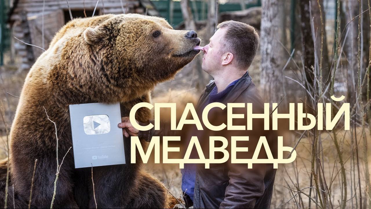 Звери это феррари