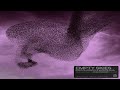 Korolova Switch Disco Empty Skies