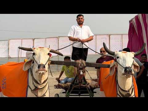 रावली गांव के प्रधान रविंद्र चौधरी जी ने गंगा मेले पर लगाया लम्बा-चौड़ा तंबू 🎪🔥 Garh Ganga Mela 2025