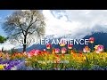 NATURE SOUNDS: Relaxing Nature Sound Of Summer Ambience (No Music)