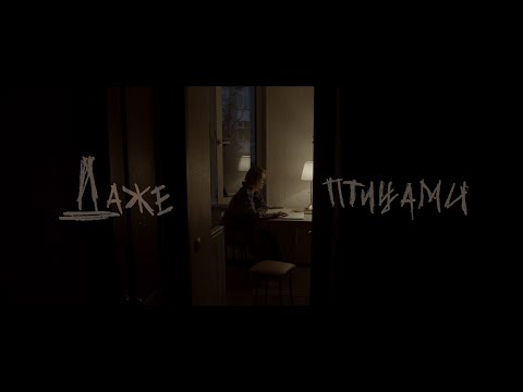 Даже - Птицами (Mood video)