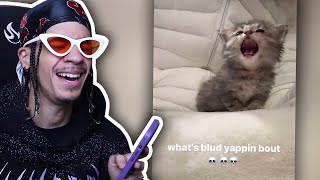 Can My Instagram FYP Make Me Laugh?... #12