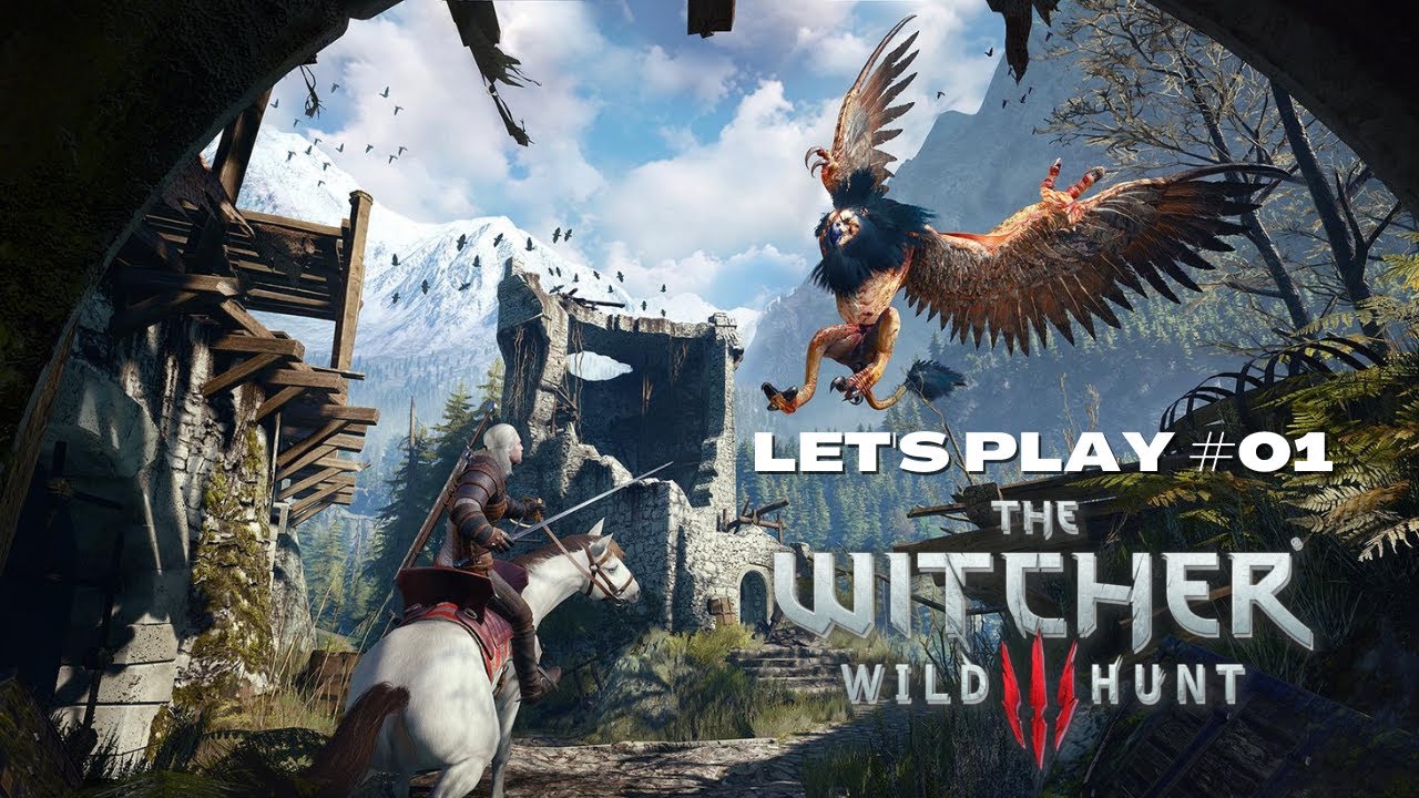 On tue un truc  The Witcher 3   LETS PLAY FR  01