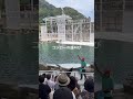 城崎マリンワールド 夫婦 城崎マリンワールド アシカ イルカショー 城崎温泉