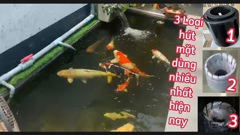3 Loại Hút Mặt Hồ Cá Koi Dùng Nhiều Nhất Hiện Nay - Hồ Cá Koi Đẹp.