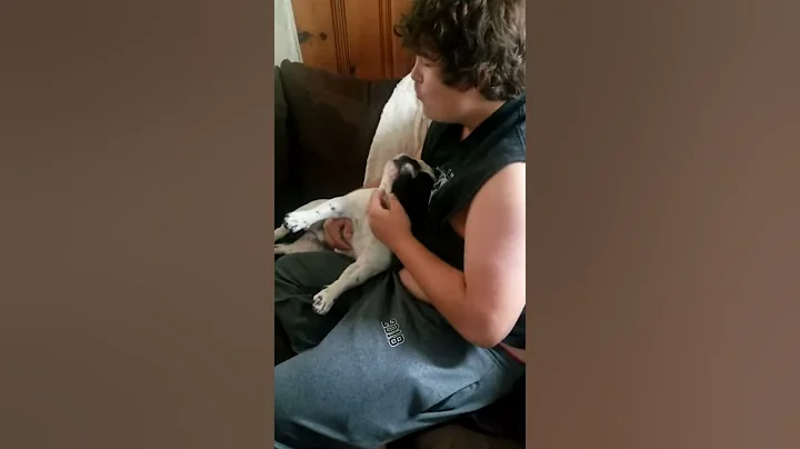Home after vacation