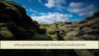 HD Exclusive Quran Reciting (Juz 10, Surah Al-Anfal from 41 to 45)