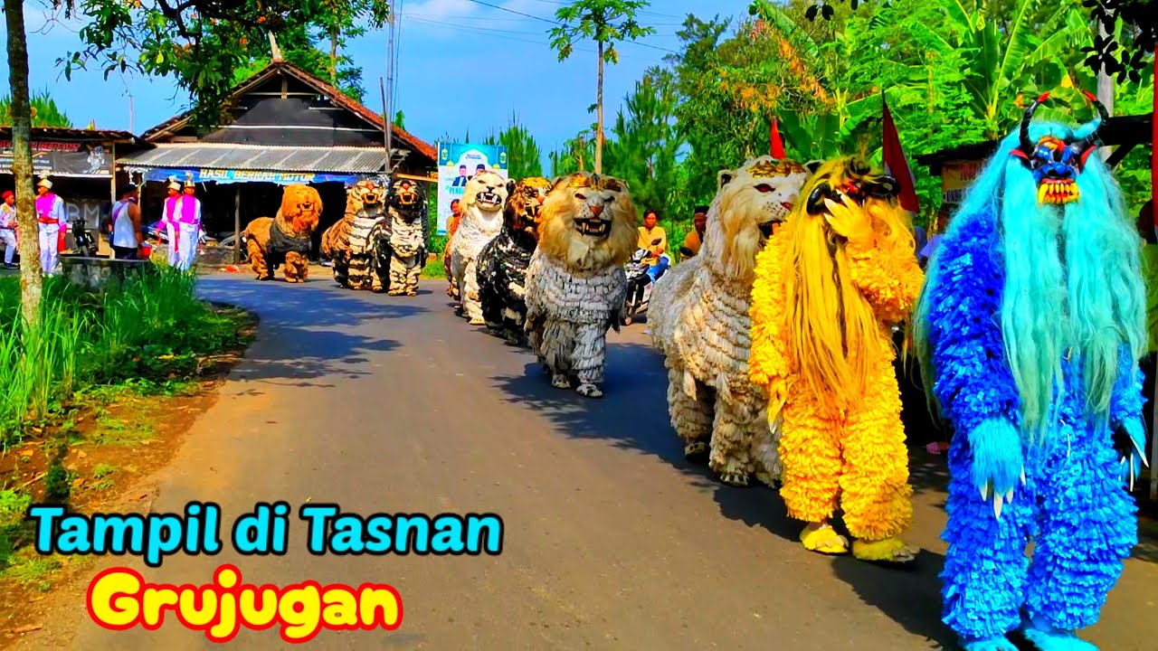Can macanan singo raung cilik di undang pondok pesantren acara Maulid nabi tampil di tasnan