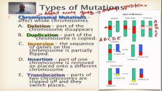 Chapter 13 Part 7 - Chromosomal Mutations