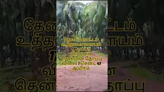 தேனி மாவட்டம்  தோட்டம் விற்பனை 10,600 தென்னை மரம் உள்ளது வீடு மாட்டுப் பண்ணை ஆட்டுப்பண்ணை உள்ளது