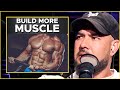 The muscle building basics