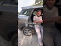 #caraccessories #brezzacng #brezzamodification #brezzamodified #shortsfeed #shortsviral #shorts #yt
