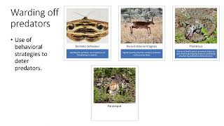 Information Coadaptation : Warding off predators (GATE EY - Ecology and Evolution) News