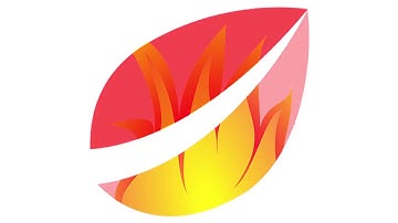 Bitfinex CFO Giancarlo Devasini originally decided against pushing wash sales to inflate volumes.