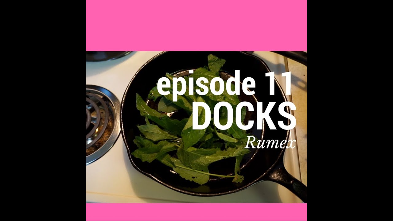 Episode 11: The Docks (Broadleaf and Curly)
