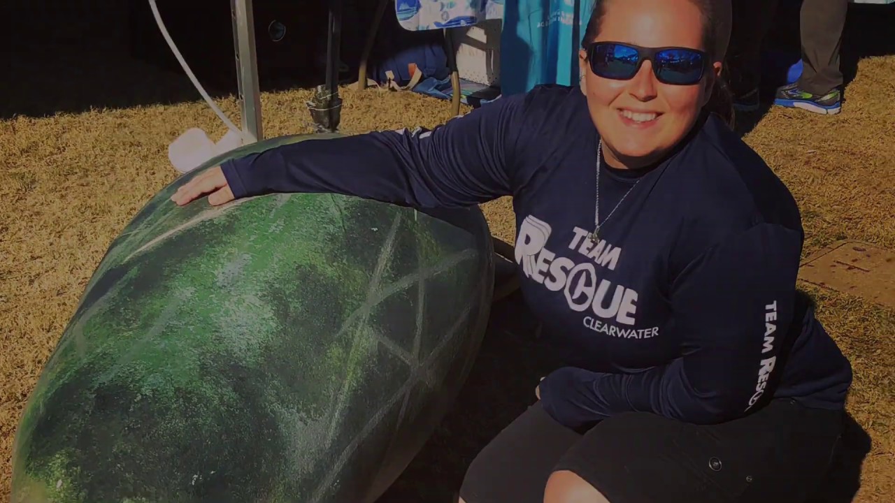 Clearwater Marine Aquarium Fall 2018 Internship YouTube