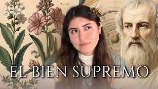 Download Lagu Cuál es el sentido de la vida? 🌱🐝 | Reflexiones de Aristóteles MP3