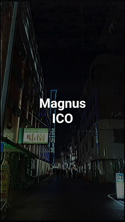 「Magnus/ICO」#Magnus #ICO #japan