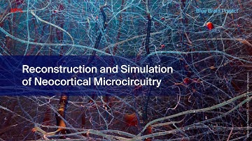 Reconstruction and Simulation of Neocortical Microcircuitry