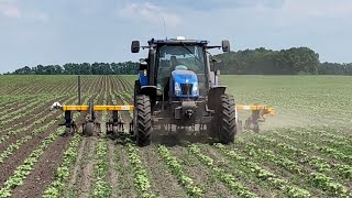 картинка: 😱Зняв все як є‼️дивіться‼️таке в нас вперше🥲🚜нюхоланд60/70 на🌻💙💛