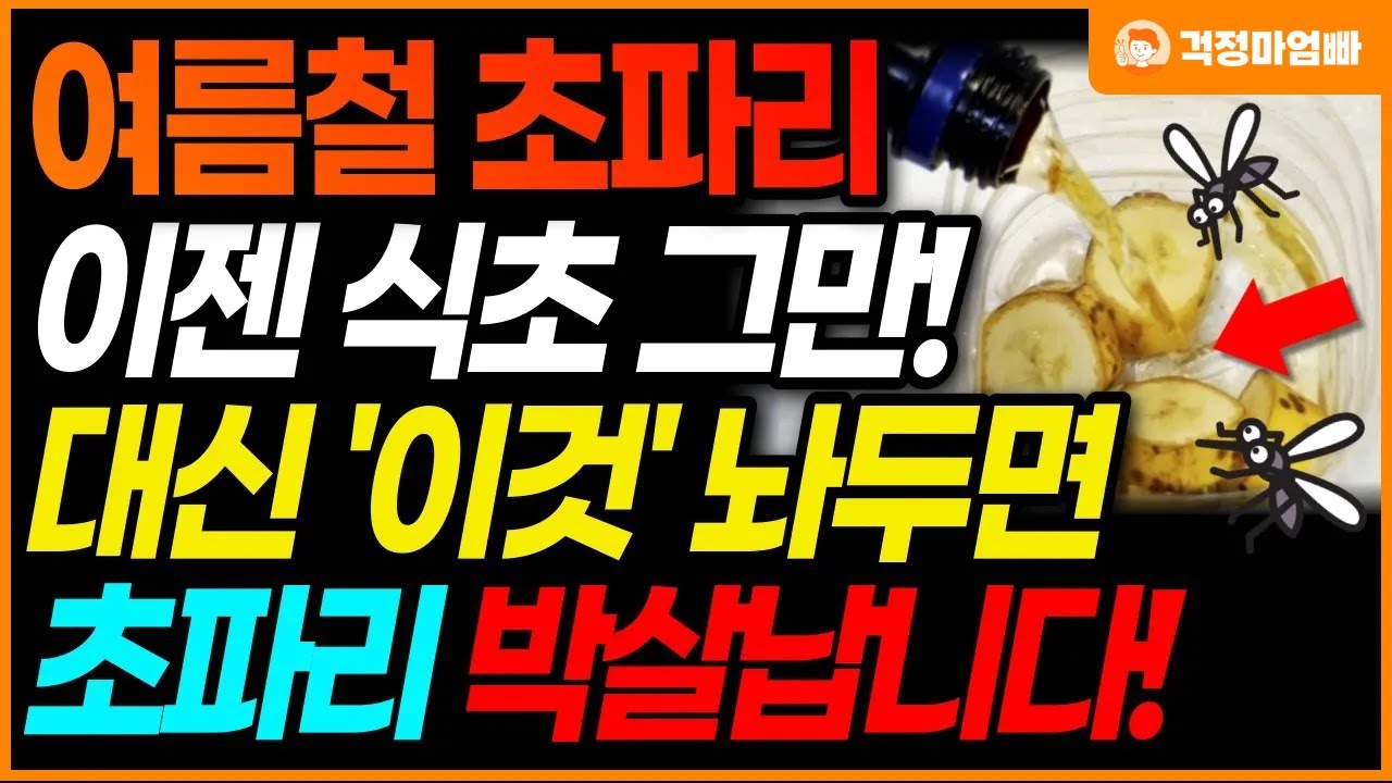 집에서 초파리를 효과적으로 제거하는 방법