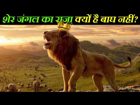 Why Lion is King of Jungle | शेर जंगल का राजा क्यों है | In Hindi | Anokhe Sach |