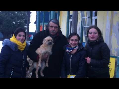 სლაიდშოუ