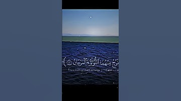 تلاوة جزء من سورة الرحمن بصوت الشيخ ياسر الدوسري