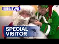 Christmas arrives early at animal hospital | 9 News Australia