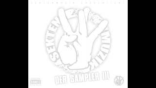 SEKTENMUZIK SAMPLER NR. 3, GANZES ALBUM, 2009