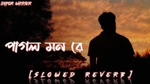 পাগল মন - Pagol Mon - Lofi Song Bengali [Slowed+Reverb] Night - Sad Song Bengali 2024/2023 new song