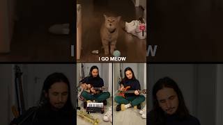 I Go Meow (Singing Cat Ballad)