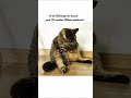 ye kya logic hai!!🧐#cat #funny #aestheic #trending #memes#shortsfeed #shorts