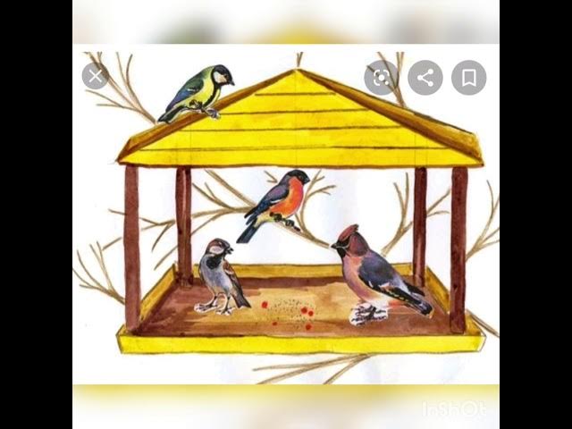 Қыздарға дөңгелек бөкселер