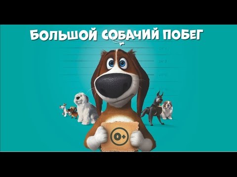 Кадры из фильма Большой собачий побег