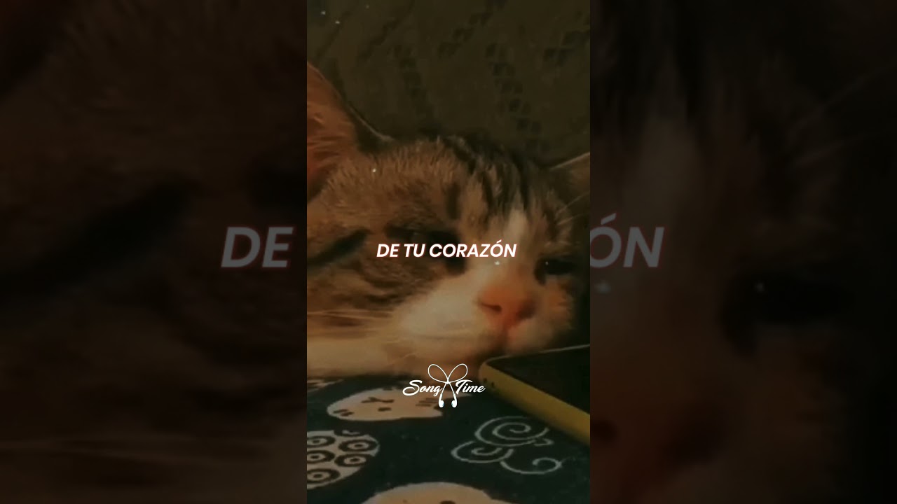 Quiero ya no amarte y enterrar este dolor II Jesse Y Joy (Estado para