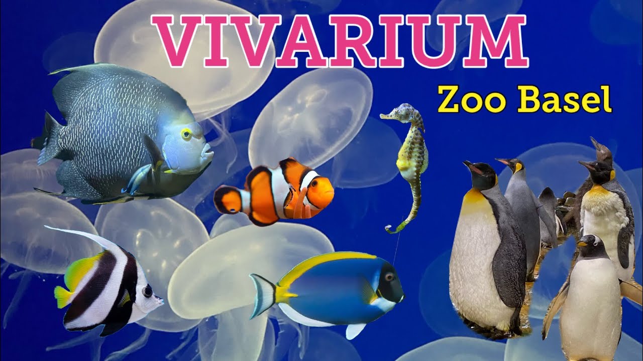 VIVARIUM - Zoo Basel Switzerland 🇨🇭 #zoo #basel #zolli #zollibasel # ...