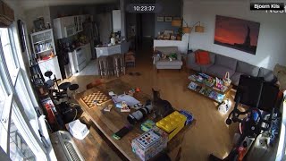 Video shows shaking from New Jersey earthquake inside home