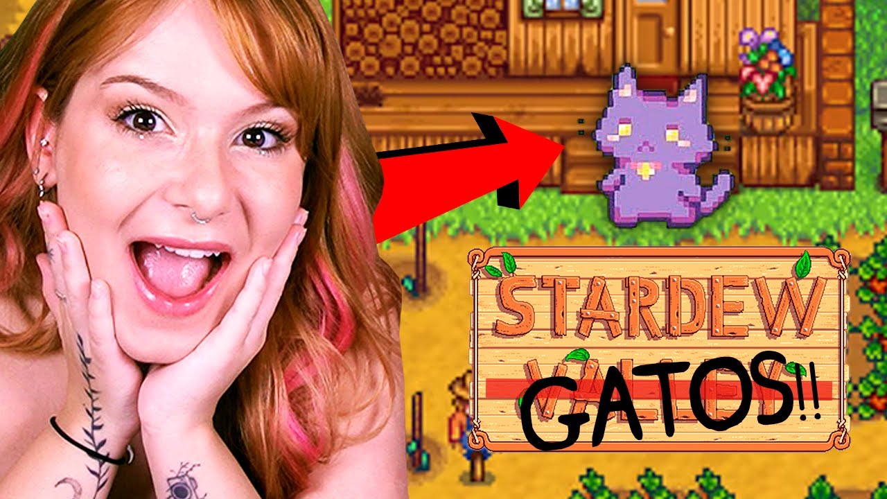 É QUASE STARDEW VALLEY MAS DE GATO - snacko