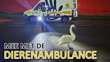 Politievlogger Jan-Willem mee met de  Dierenambulance Zuid-Holland Zuid