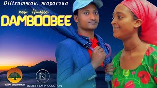BILISUMMAA MAGARSAA | DAMBOOBEE | SIRBA AFAAN OROMOO HAARAA 2023 | NEW ETHIOPIAN OROMO MUSIC VEDIO
