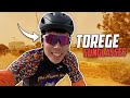 Torege Sunglasses Review! (Unboxing)